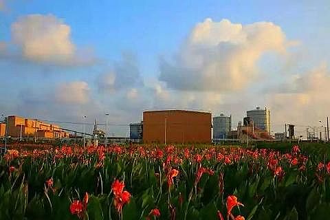 2020ۺȻFPAFCS_(ki)(chung)BOOұИI(y)h(hun)ģʽ