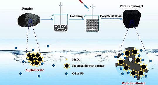 2019ĩ̿S̿zͼgؽȾгɱ(yu)