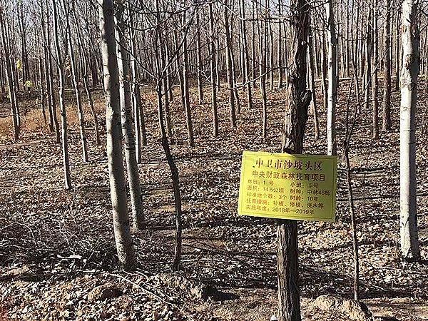 2019VaSvɳĮȾ{飺ұIǰˮ