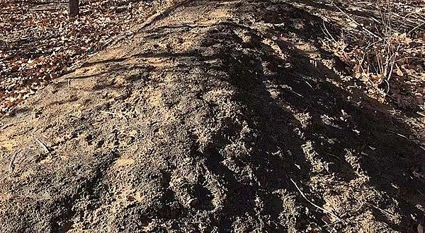 2019VaSvɳĮȾ{飺ұIǰˮ