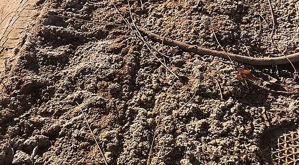 2019VaSvɳĮȾ{飺ұIǰˮ