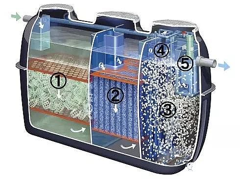 2019ϡɰVaSձļͥˮ̎