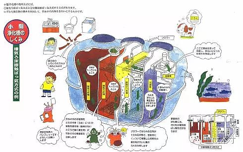 2019ϡɰVaSձļͥˮ̎