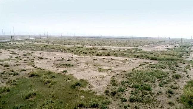 2020Y(ji)ȻXa(chn)Sۿڔ(sh)ǧlΣ~pɣSӌӭ(yn)O(jin)