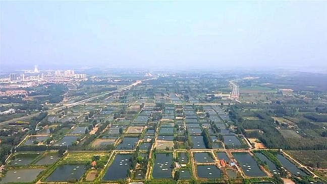 2020Y(ji)ȻXa(chn)Sۿڔ(sh)ǧlΣ~pɣSӌӭ(yn)O(jin)