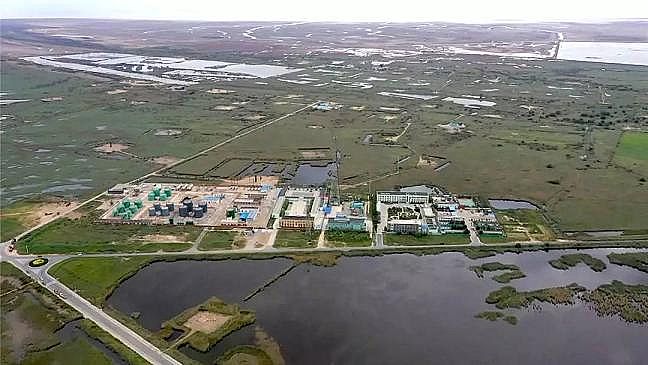 2020Y(ji)ȻXa(chn)Sۿڔ(sh)ǧlΣ~pɣSӌӭ(yn)O(jin)