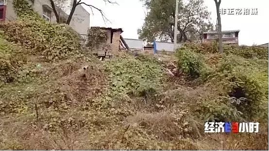 仁源水處理濾料生產廠家木魚石生產濾料觸目驚心!黃金冶煉廠廢液廢料污染黃河支流 村民:小鳥喝了就死!