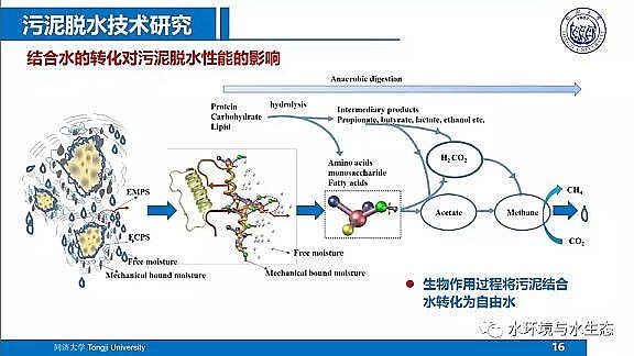 ˮ̎VϏSĭVVEPSˮS̎ùˇg·