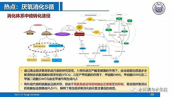 ˮ̎VϏSĭVVEPSˮS̎ùˇg·