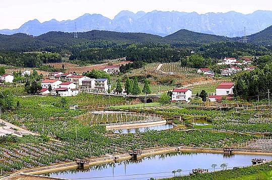 Դˮ̎ϏSһɽrVr˾ӭhȫ_ aR̰_A