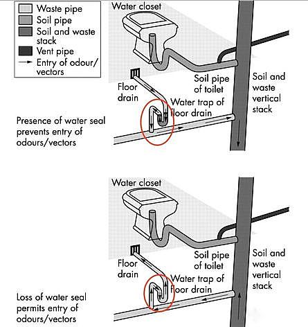 ЧYȻXSPעˮϵyДйڠġ[Ρ;_Ӽҽ