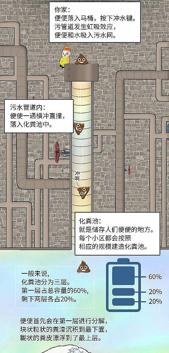 2020귴_ϴVñSϵyvSˮ̎ ҂ʺȥ?