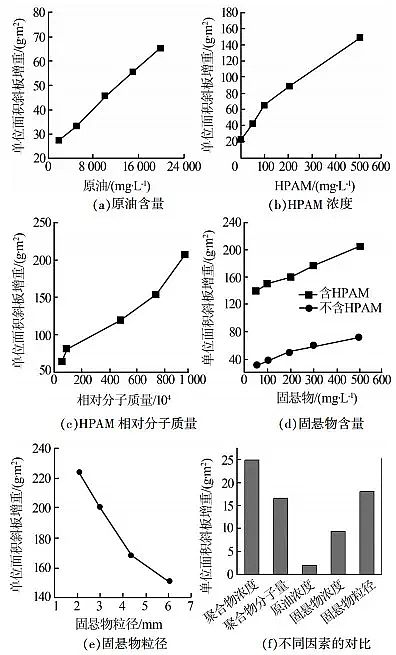 xӾ۱ϩHPAMSҺۺaˮ̎wӰؼC