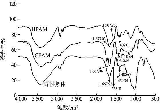 xӾ۱ϩHPAMSҺۺaˮ̎wӰؼC
