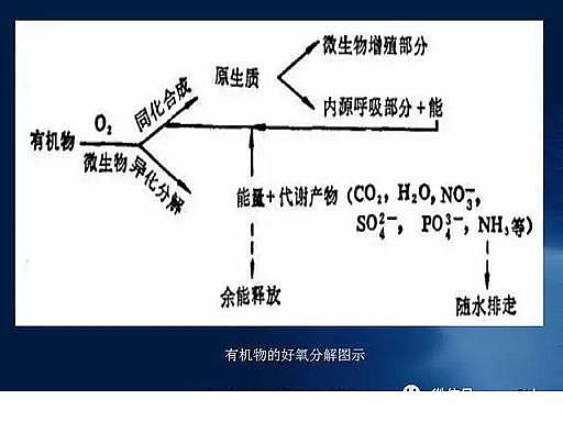 ˮ̎VaSʯӢɰVˮ̎ˇ̈DԔ