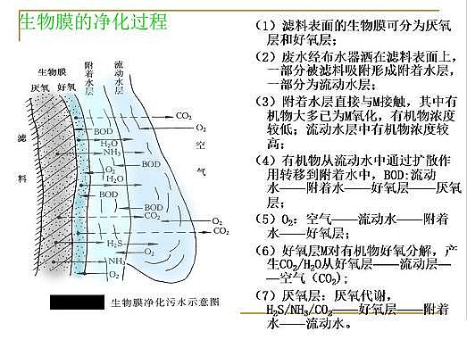 ˮ̎VϏSҟoúVȫĤPPTv⣺ԭ̡OӋӋ