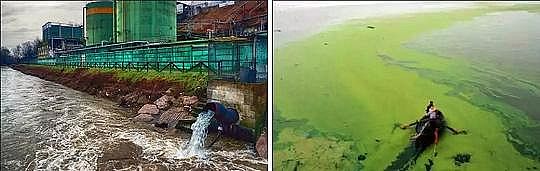 Դˮ̎Ϲwׄa(chn)Sк׏UˮYԴ