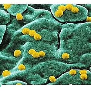 ԴˮϰȥSҼg(sh)·\Մ