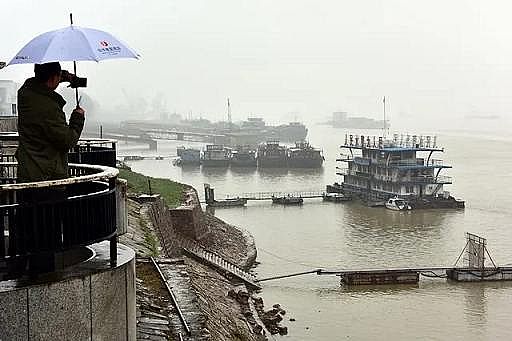 Ҭ̿0.5-1mmaS҃ɲίLoޏ͹ԑጷŭhaIЈg