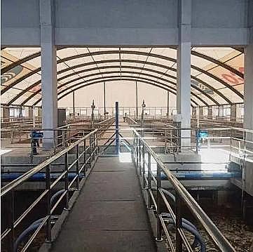 h儩aS̫䓹̼g˾Дˮ̎SĿԇaˮɹ