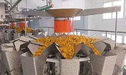 316L|PwS^SؑcեˏUˮGˮɽL