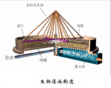 dFV3-5mmSˮ̎38ˇOӑBD