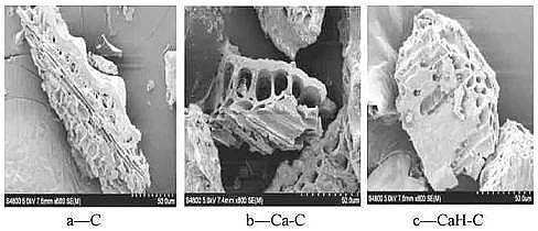 高效活性炭濾料生產廠家改性生物炭對水中鎘離子的吸附:動力學、等溫模型、機理
