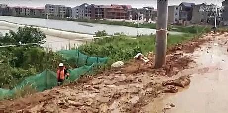 ЧwWaS۶ꖺ漱!ȫ433llˮ