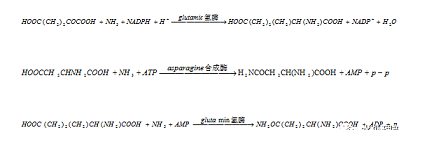 ЧxӽQ֬Sȫ|A2/OؼMBRBBRˇxԔ!