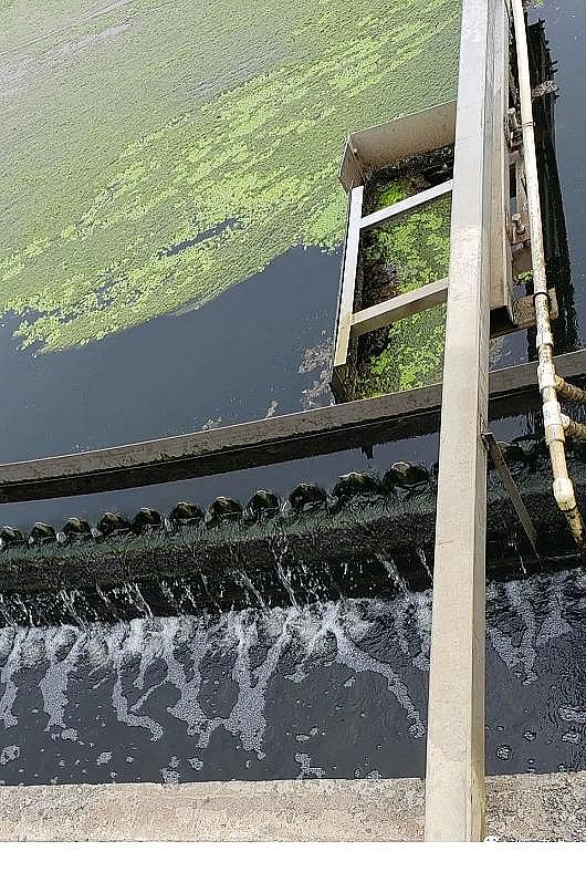 泡沫濾珠濾料EPS1-2mm生產廠家MBR生物反應器的運行管理