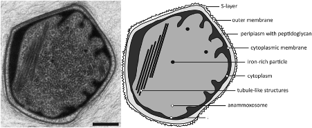 Ҏ(gu)F̼΢늽a(chn)S҅һ(g)P(gun)ڕr(sh)gĵĹ- 43ǰՄ