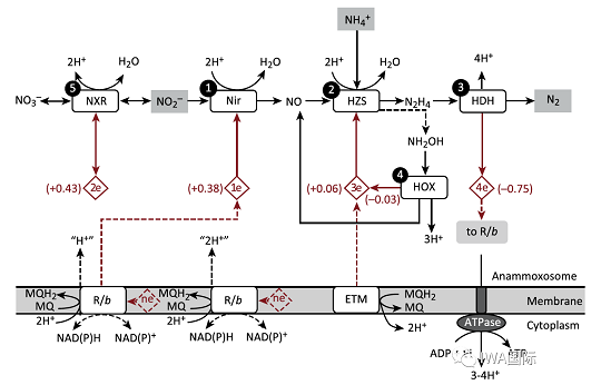 Ҏ(gu)F̼΢늽a(chn)S҅һ(g)P(gun)ڕr(sh)gĵĹ- 43ǰՄ