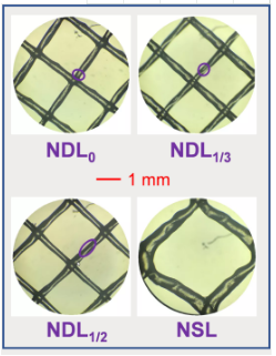 ҎZʯVaS׃WzMˮW׺ĤԪˮWͿȾܵӰ̽