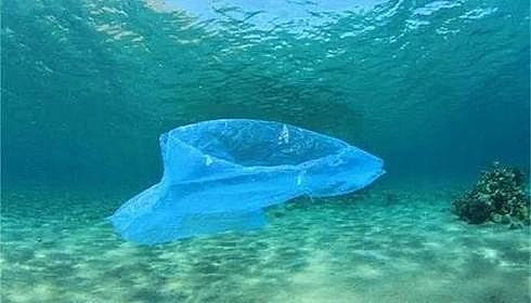 ҎҚVaSҎ׷犇L17NˮȾ@Nzyƽ_ġζ١Լ