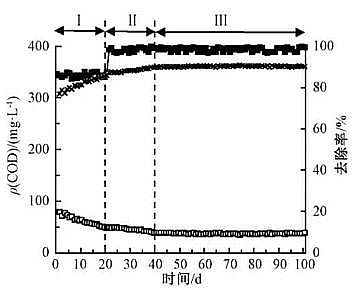 高規格粉狀活性炭生產廠家好氧顆粒污泥+膜生物反應器處理城市生活污水:污泥形成、污染物去除效果