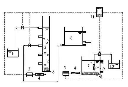 高規格粉狀活性炭生產廠家好氧顆粒污泥+膜生物反應器處理城市生活污水:污泥形成、污染物去除效果