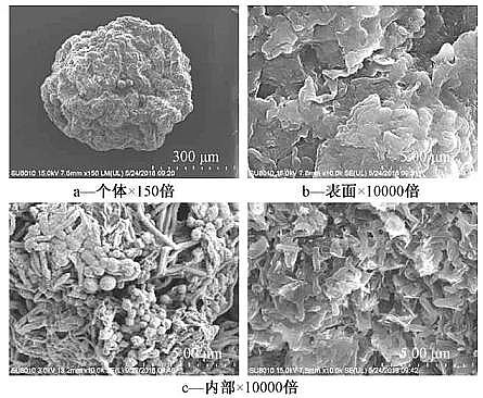 高規格粉狀活性炭生產廠家好氧顆粒污泥+膜生物反應器處理城市生活污水:污泥形成、污染物去除效果