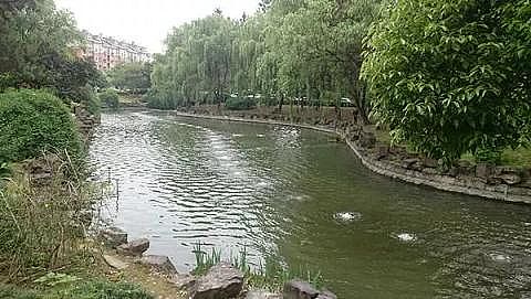 �h���ؚ����S�ҳ��кڳ���Ⱦ�ӵ�����ԓ��ô����?