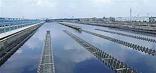 Ҭ̿aSx½5ˮS?soʲôr!