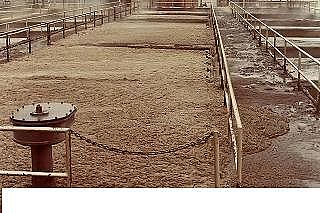 新式陽離子聚丙烯酰胺CPAM生產廠家污水廠活性污泥的秋季工藝調整