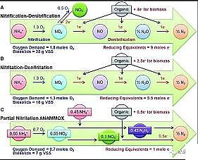 hF̼΢늽ϏSӶ̷̳-Ҏģо