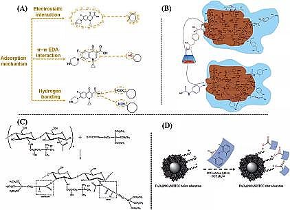 Ʒ۠̿aSҹˮzڭhȾȥеđ