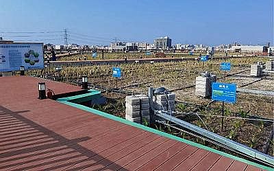 ʯӢɰV4-8mmS҇ȆwҎģĸߝȏUˮ̎Oʩͨ^!