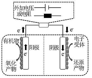 ๦ܾۺȻXPACSyUˮ늻W(xu)ϵy(tng)(qing)̎оM(jn)չ