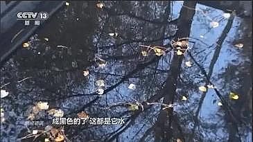 ͺҚVϏS?gu)Ͷ?0|Ԫˮ|(zh)V!ˆ}?