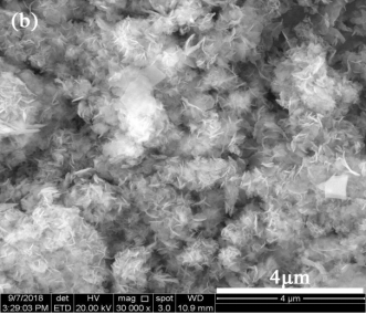 Ʒ|(zh)3AӺYa(chn)SЙCxȾϏUˮ̎ȡMչ