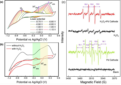 2021ܛaSҾGɫDԭӚ錧pˮ߀ԭ^