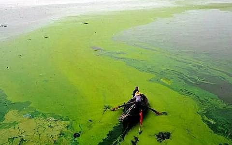 ˮ̎ˎͺ̼ԴaSʲôˮwIB?ΣЩ?η?