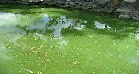 ˮ̎ˎͺ̼ԴaSʲôˮwIB?ΣЩ?η?