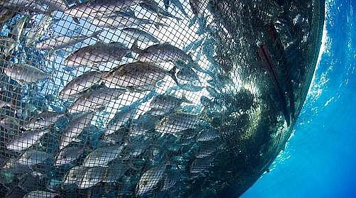 ¿AʽȻXSP(gun)ˮa(chn)B(yng)ֳI(y)Uˮ̎